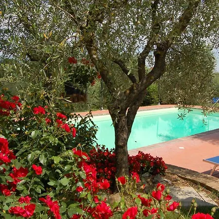 Scannagallo * Foiano Della Chiana